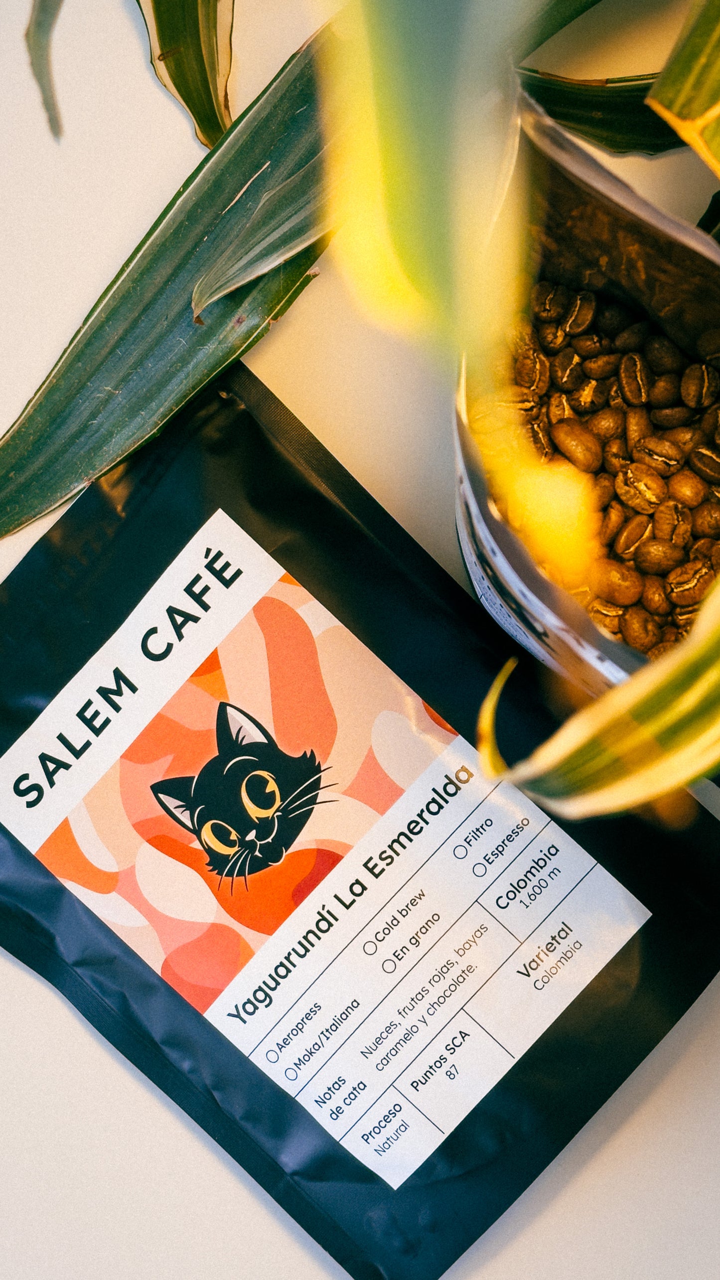 Café de especialidad de Colombia "Yaguarundí La Esmeralda" 87 SCA