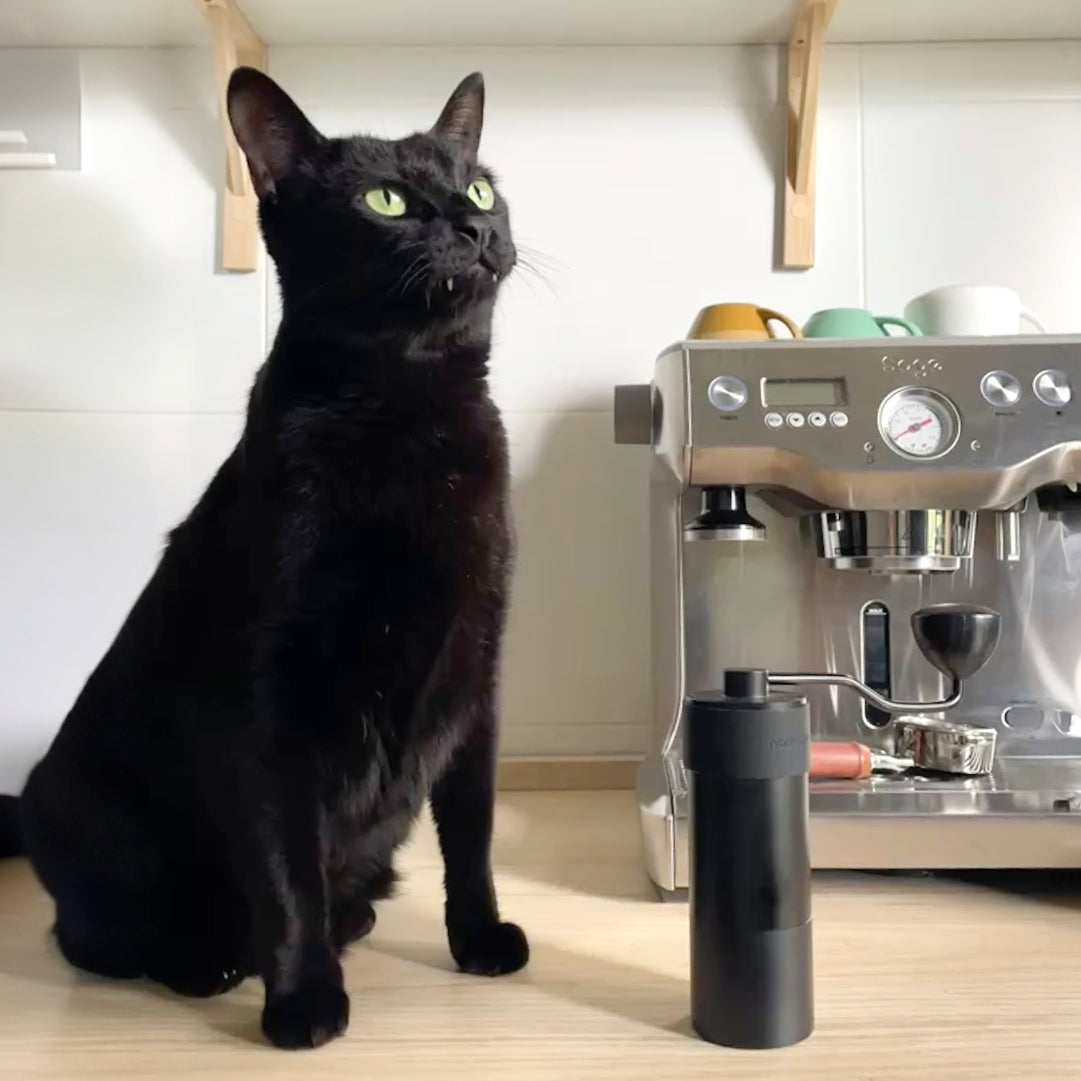 Pack de Café Especialidad "Original" - Korat, Ashera y Bombay