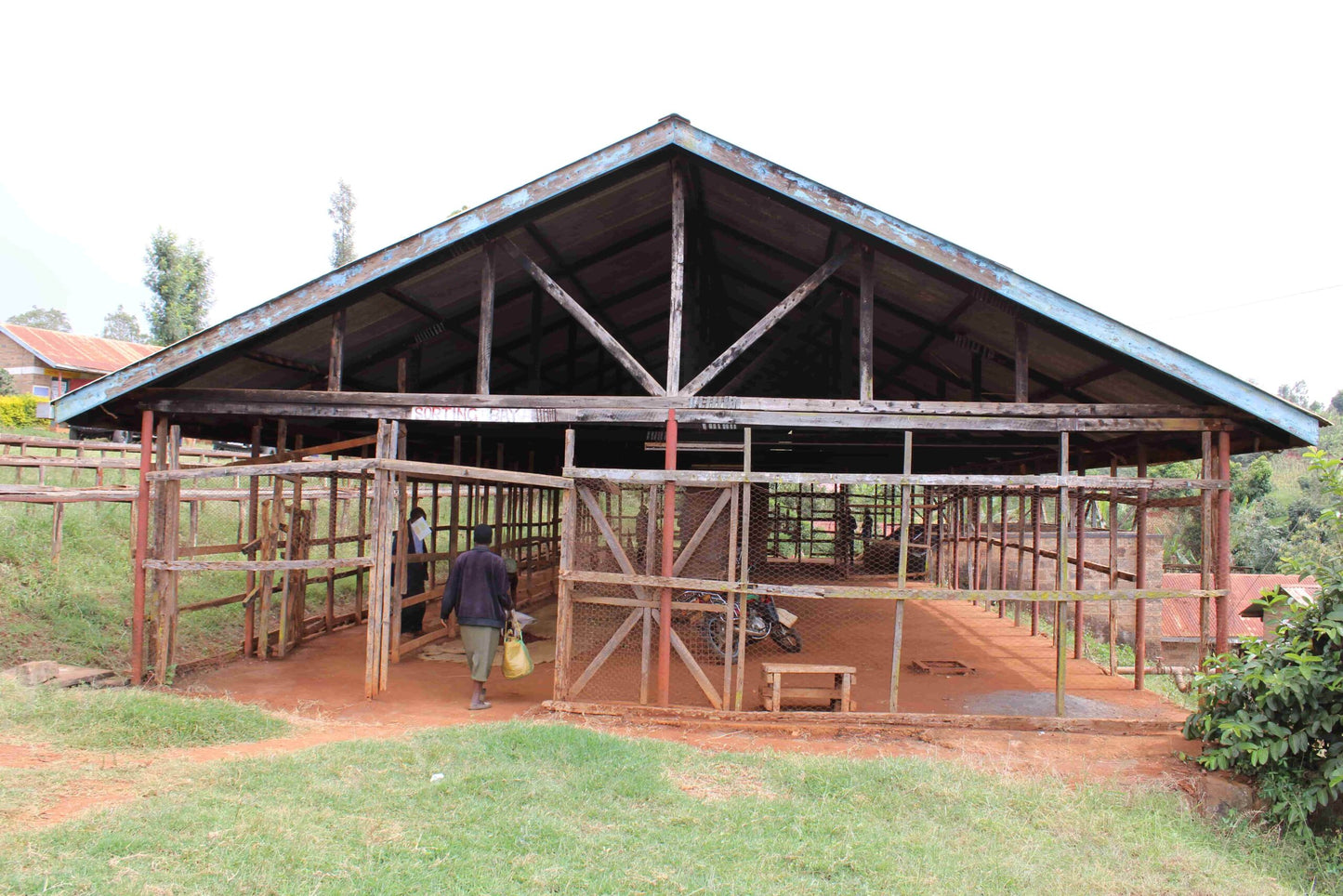 NUEVO Café de especialidad de Kenia "Bombay" 87,25 SCA