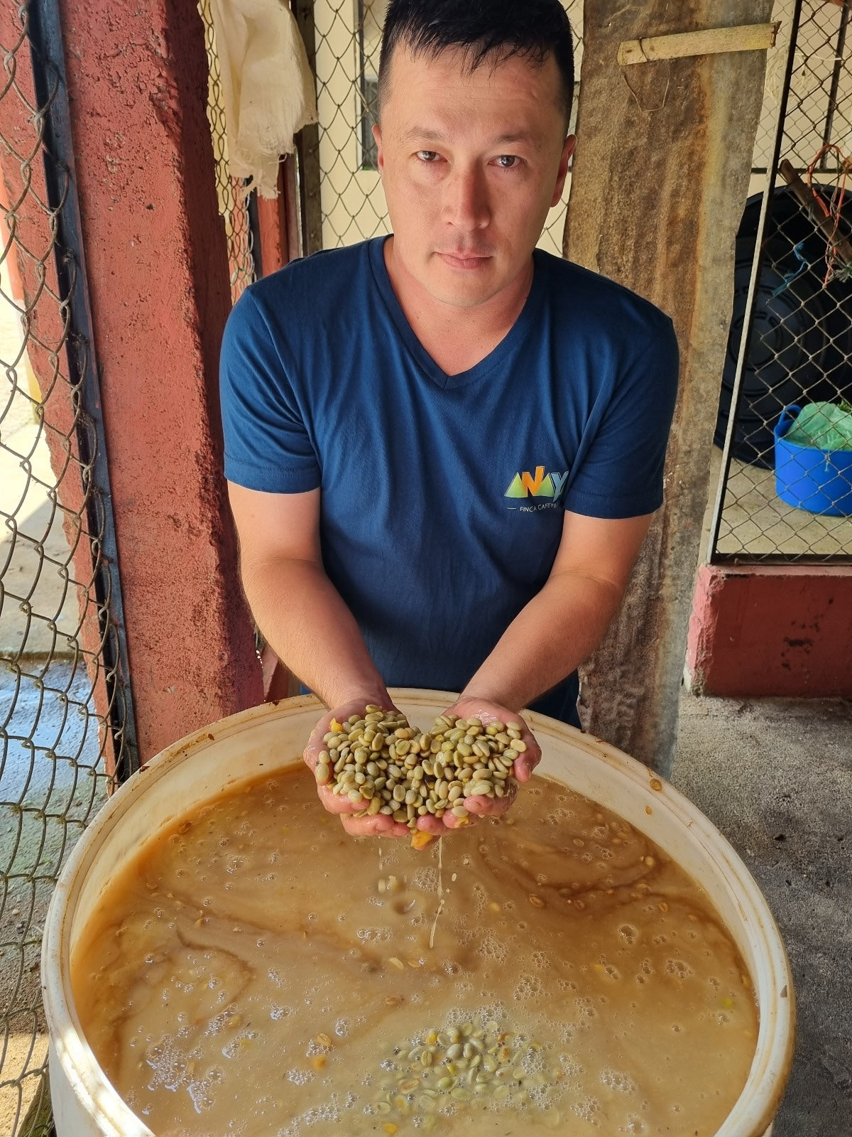 Café de especialidad de Colombia Lavado con fermentación "Lynx" 86,5 SCA