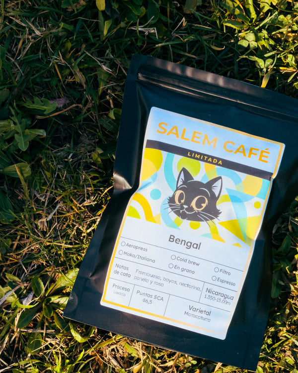 Café de especialidad de Nicaragua Lavado "Bengal" 86,5 SCA