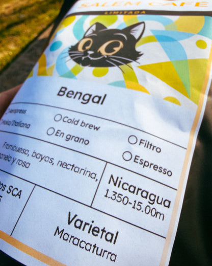 Café de especialidad de Nicaragua Lavado "Bengal" 86,5 SCA