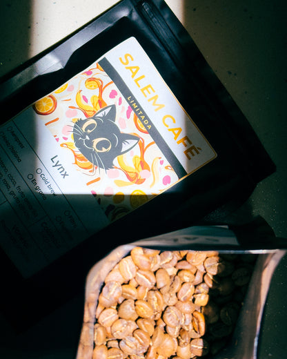 Pack café de especialidad para filtro - Bombay + Lynx