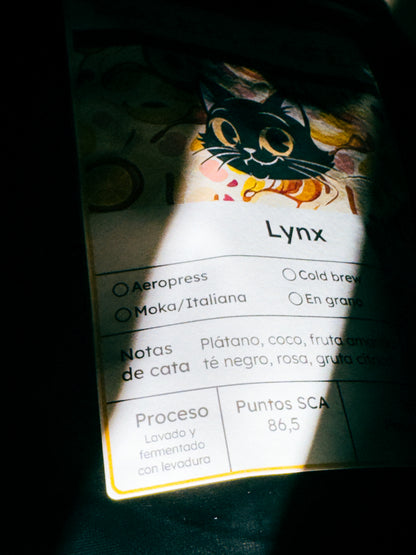 Café de especialidad de Colombia Lavado con fermentación "Lynx" 86,5 SCA