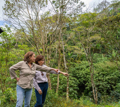 Café de especialidad de Nicaragua Lavado "Bengal" 86,5 SCA