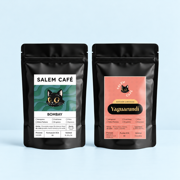 Pack Filtro de Salem Café con Bombay y Yaguarundí, dos bolsas sobre fondo azul pastel