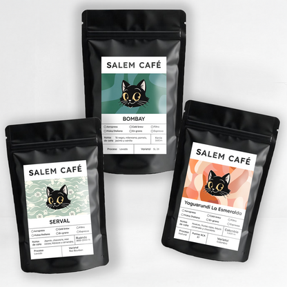 Pack café de especialidad para filtro con ENVÍO GRATUITO - Serval + Yaguarundí + Bombay