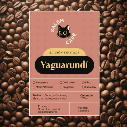 Café Colombia fermentado Yaguarundí - 100% Arábica, de especialidad